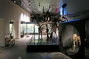 naturhistorisches museum der universitat zurich 8-2024 1022